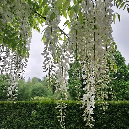 Tübingen-lustnau * Tübingen