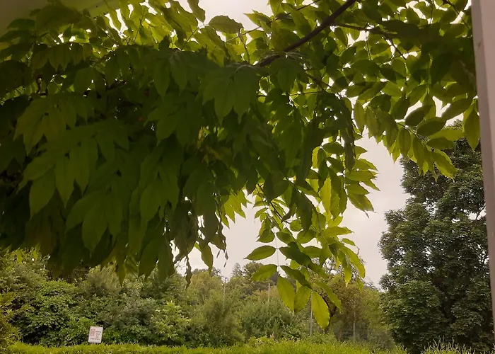 Apartman Tuebingen-lustnau *