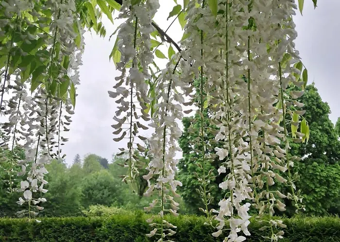 Tuebingen-lustnau * Tübingen